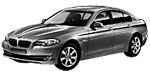BMW F10 P2516 Fault Code